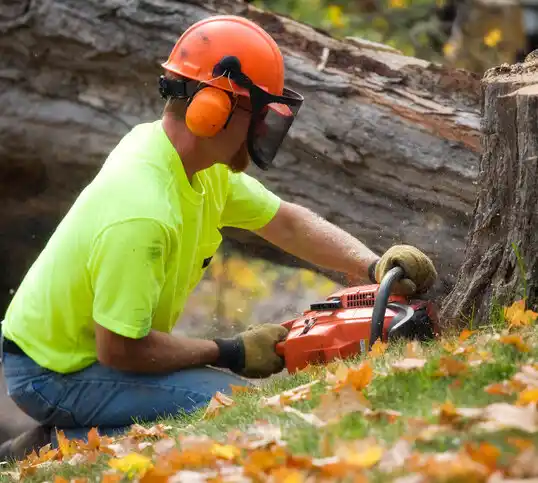 tree services Whitakers